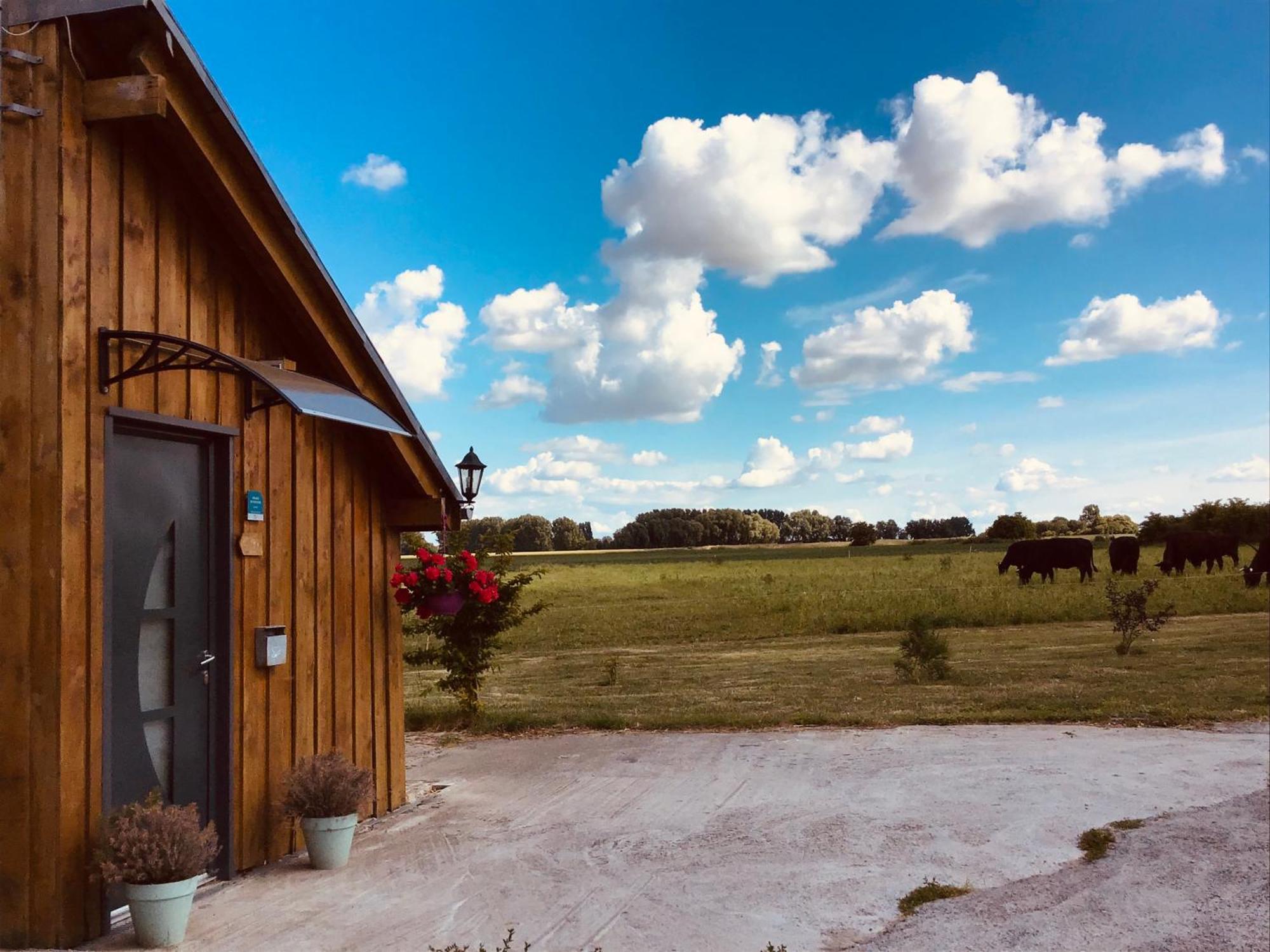 Le Chalet De La Ferme Du Tertre Villers-au-Tertre Habitación foto